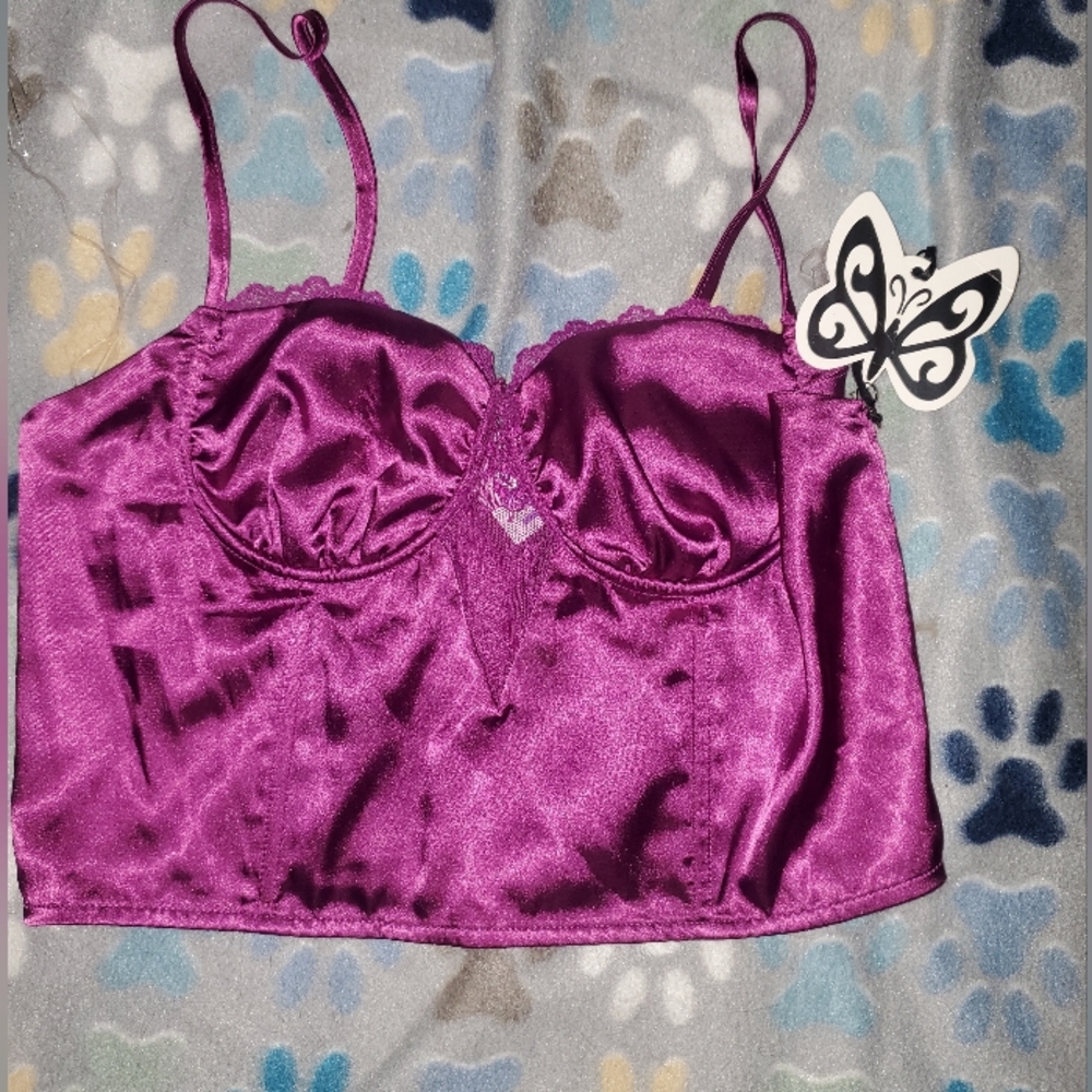 Self Esteem Satin Purple Bustier